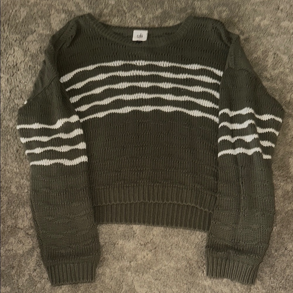 CAbi Green and White Crew Neck Sweater